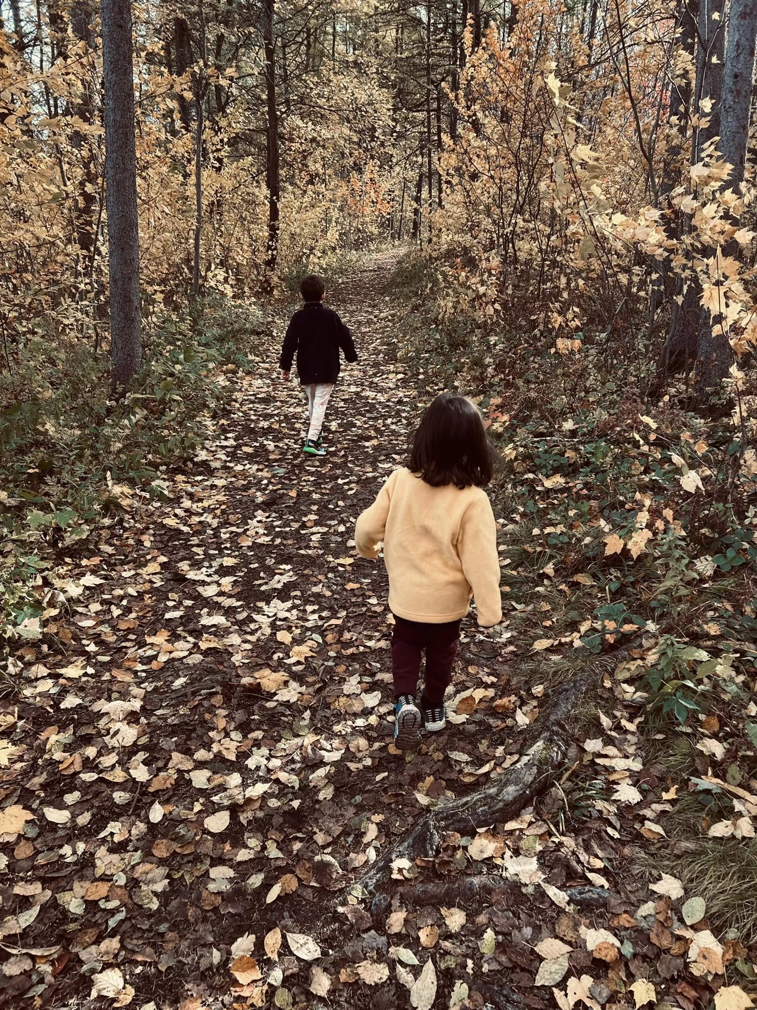 Movement, Mental Health, and the Quiet Power of Grit